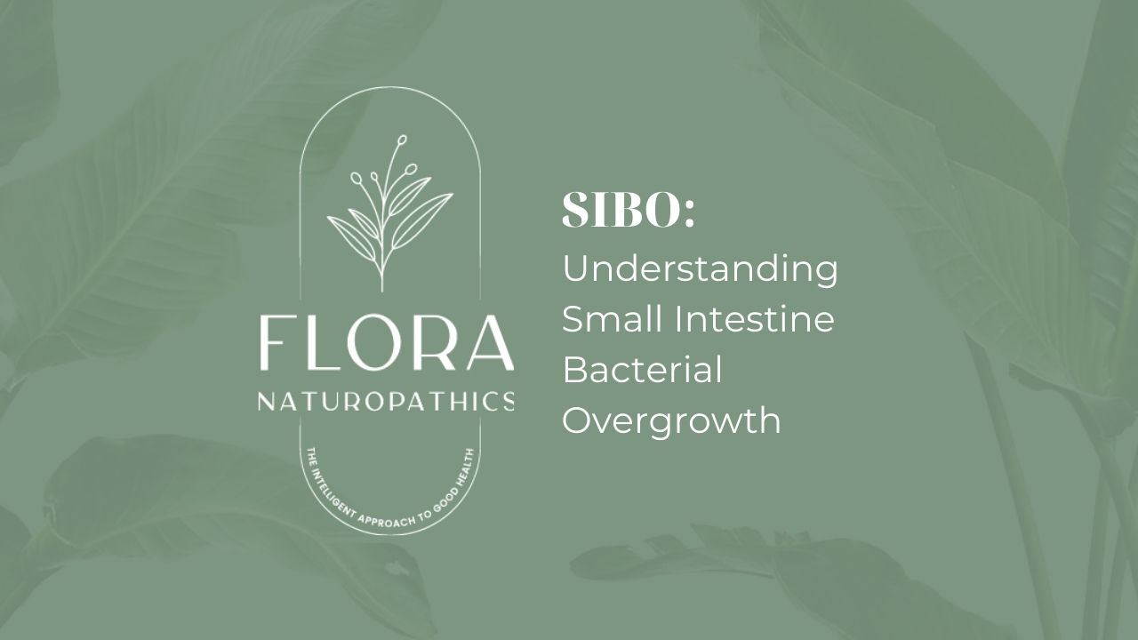 SIBO: Understanding Small Intestine Bacterial Overgrowth