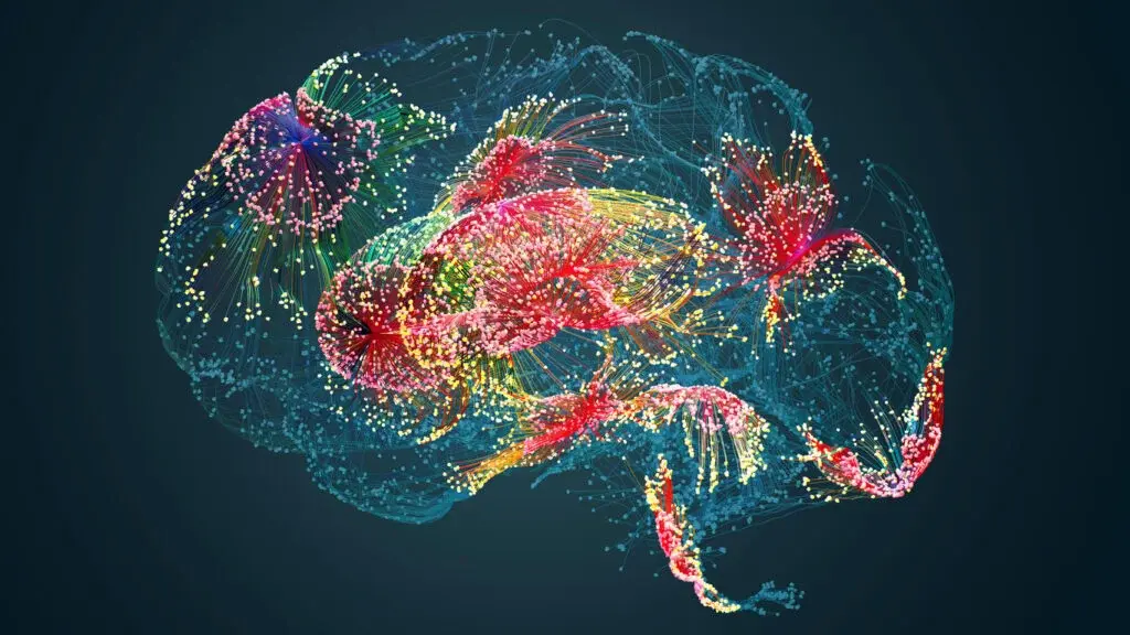 The Gut–Brain Axis: How the Nervous System Shapes Gut Health